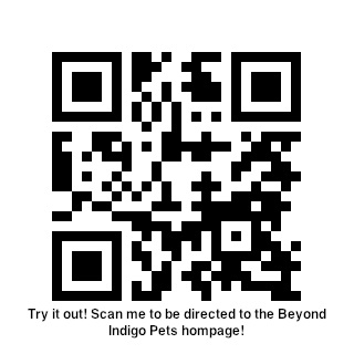 BIQRCODE-text