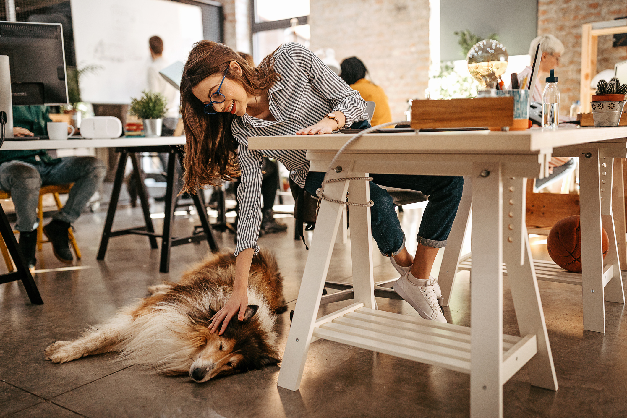 A woman in an office with her dog.
