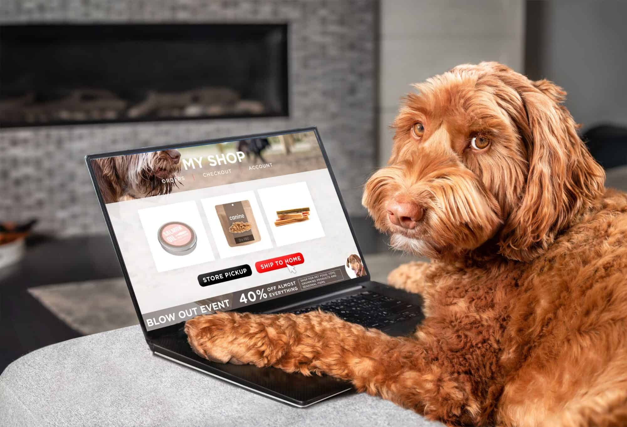 A cute dog using a computer.