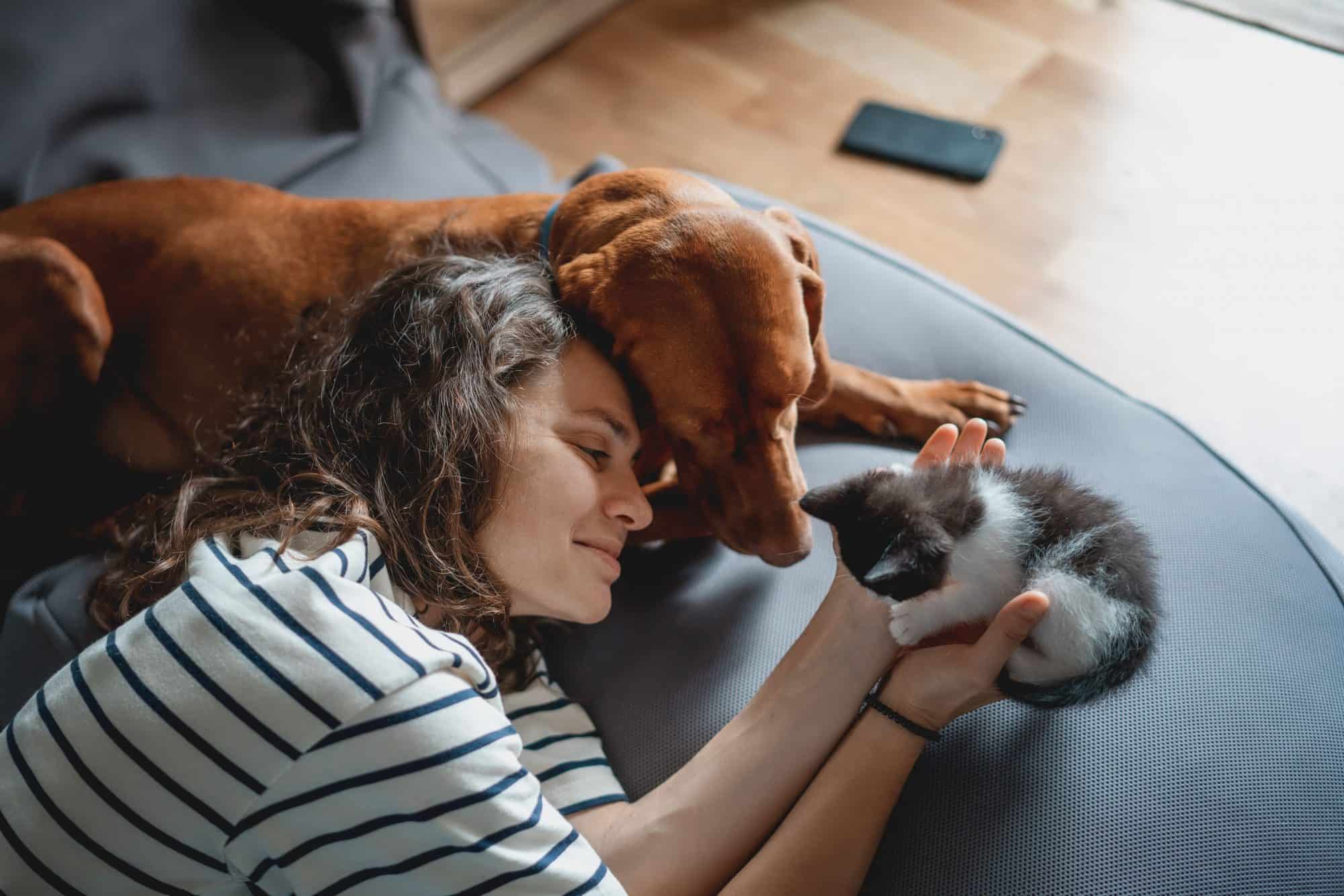 A dog and cat getting along.