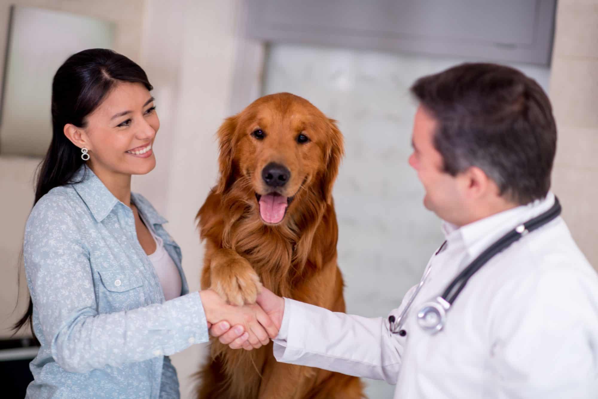 A vet, a client, and a dog shaking hands.