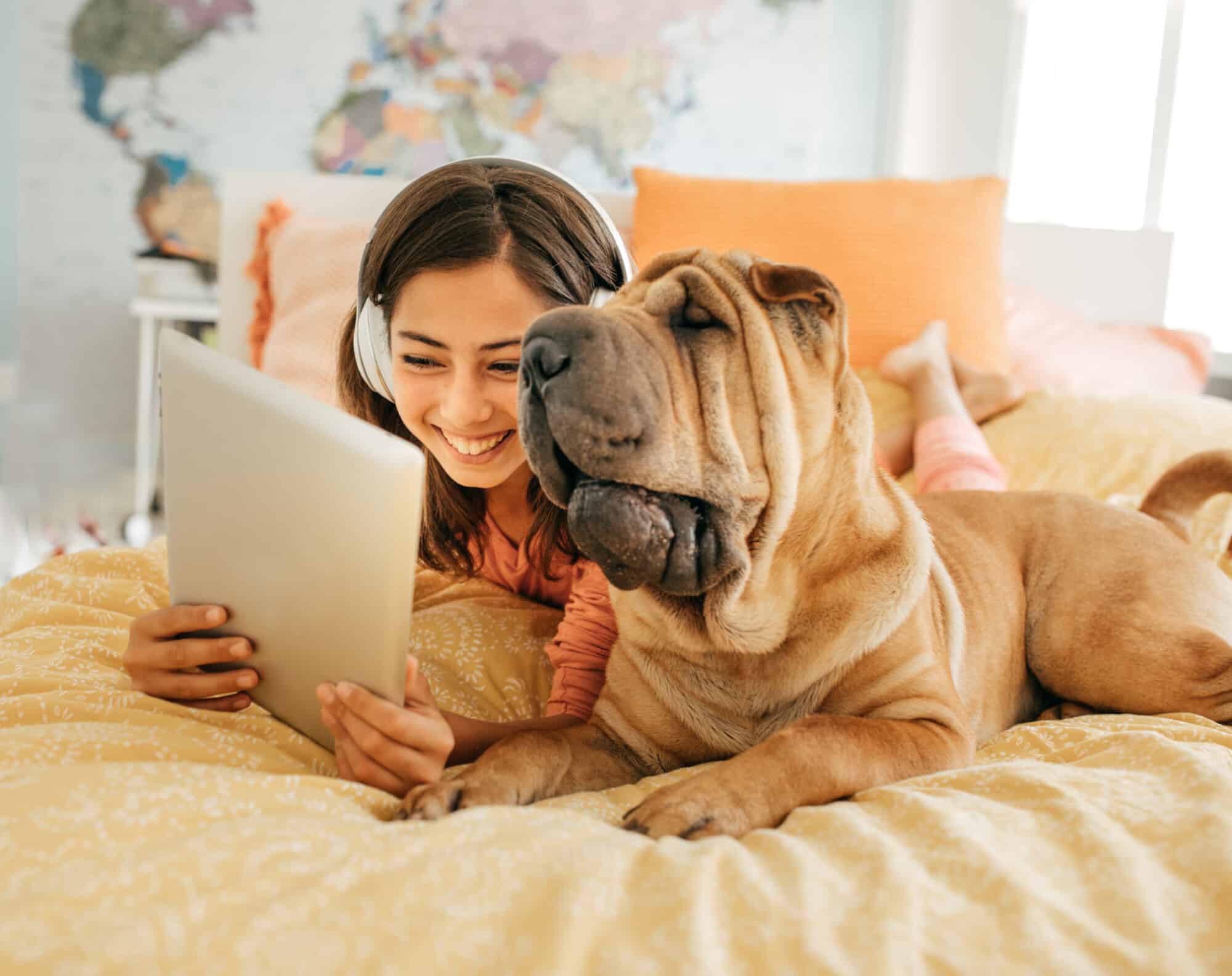 A girl and her dog looking at a tablet.