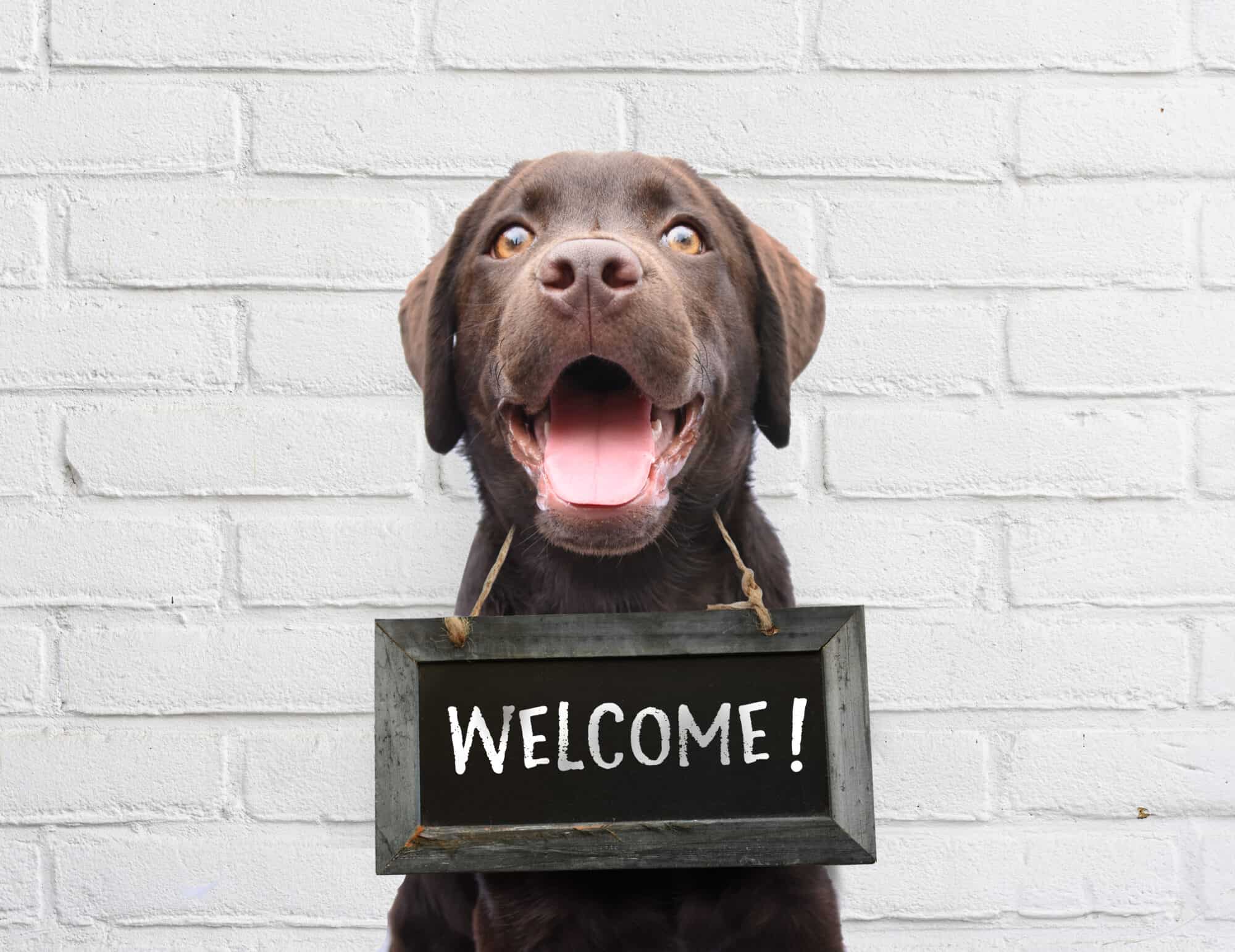 A dog with a welcome sign.