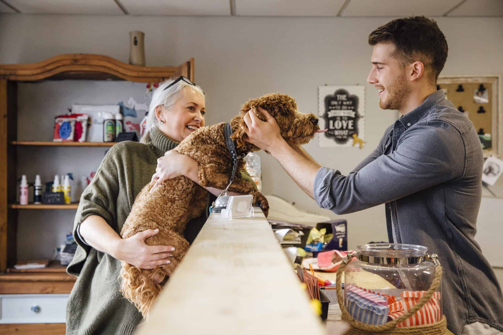 A dog saying hi to the front desk staff at the veterinarian.