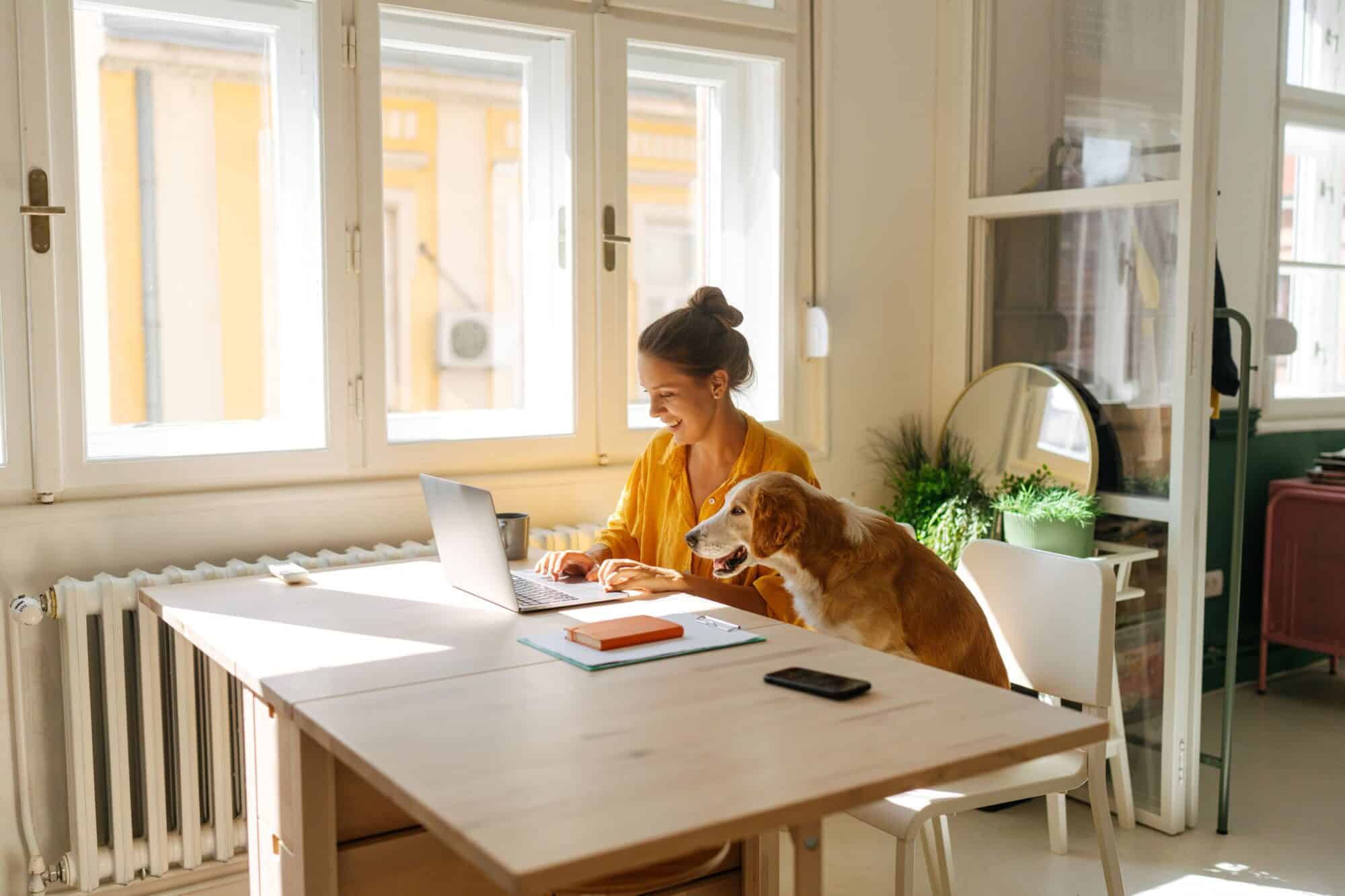 A woman and her dog look at a laptop screen.