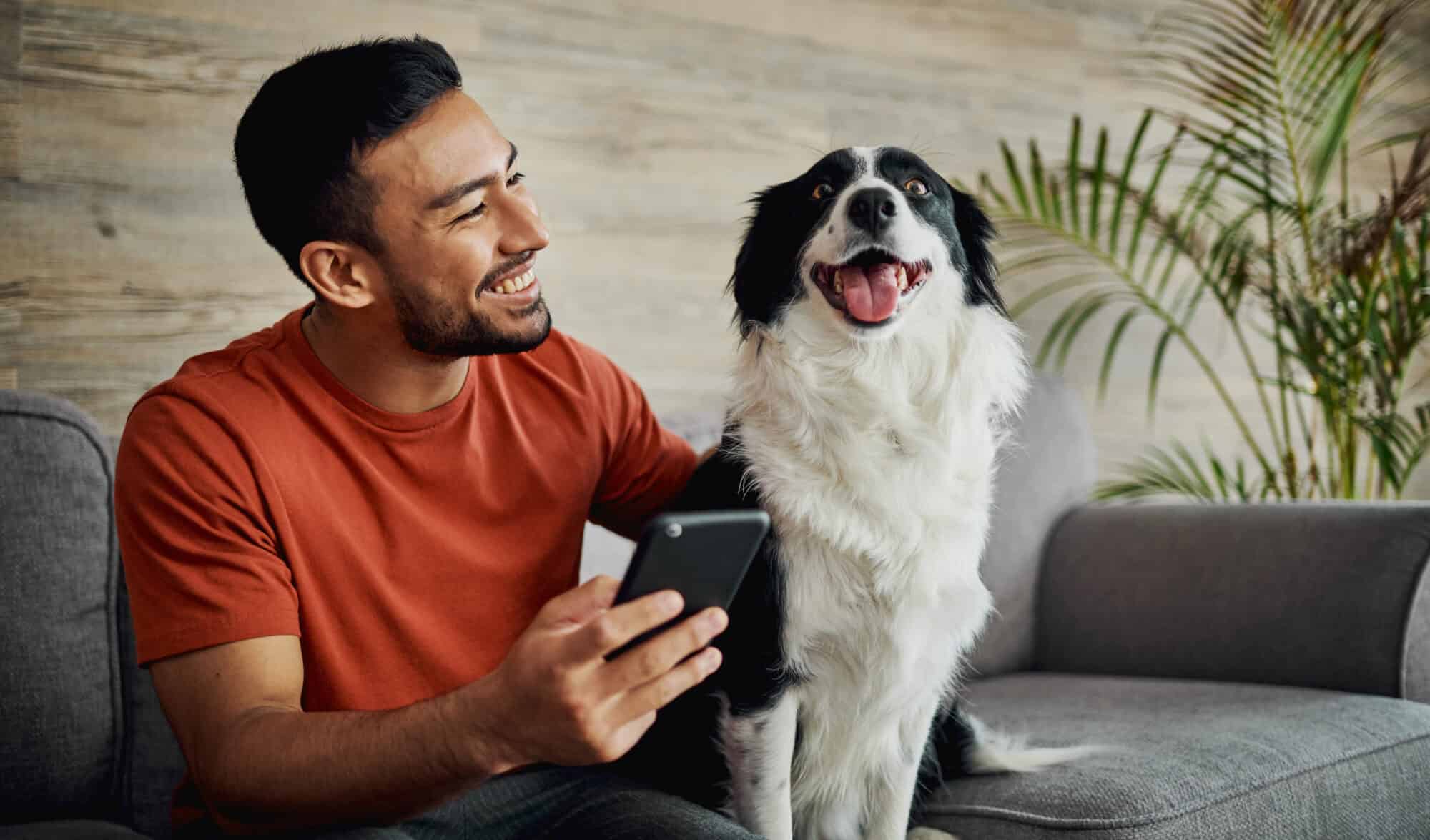 A man and his dog do a mobile Google search.