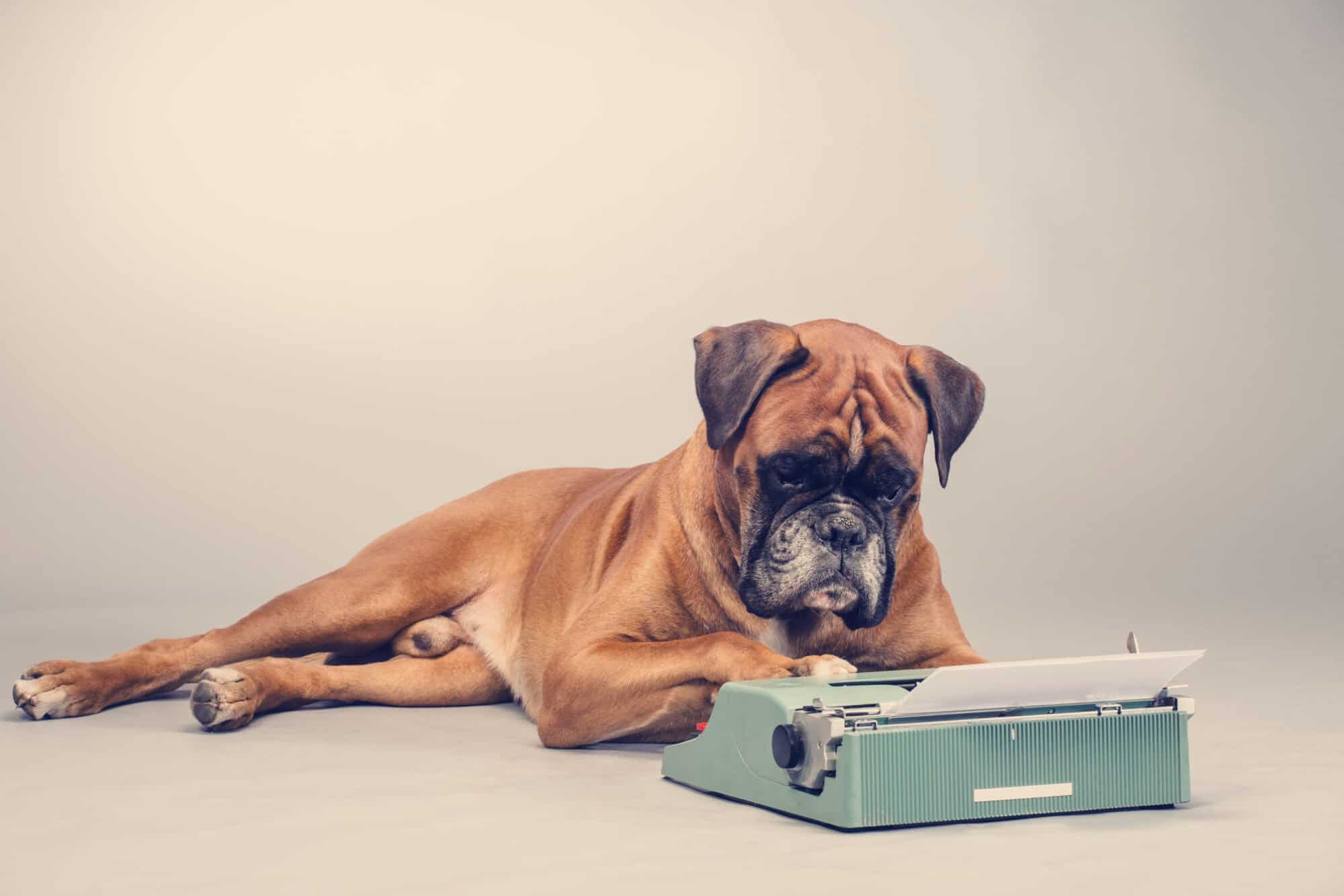 A Boxer dog typing on a green typewriter.