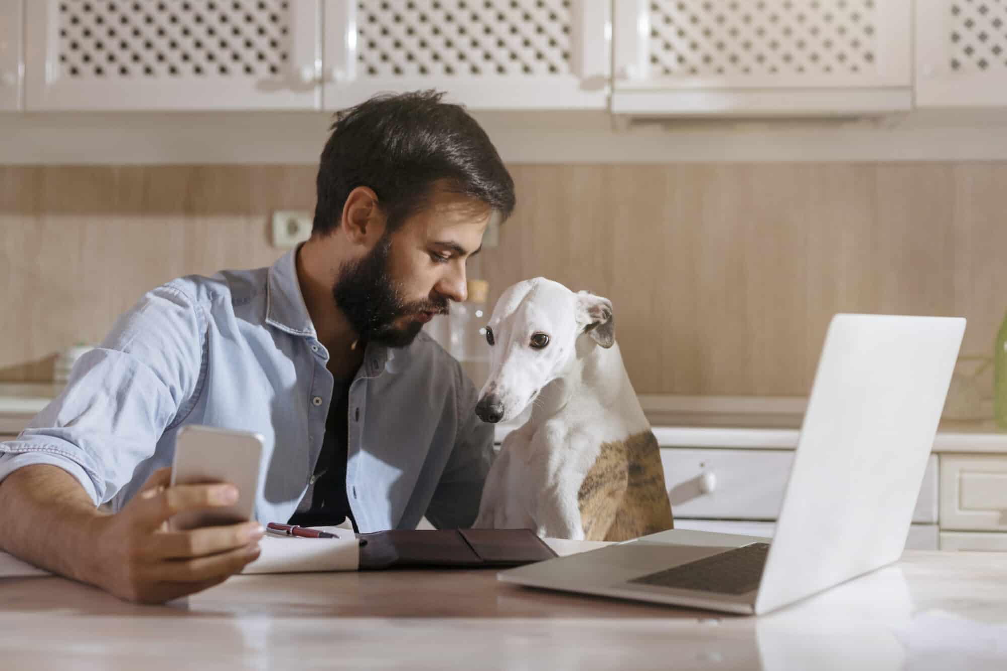 A man and his dog go over a budget.