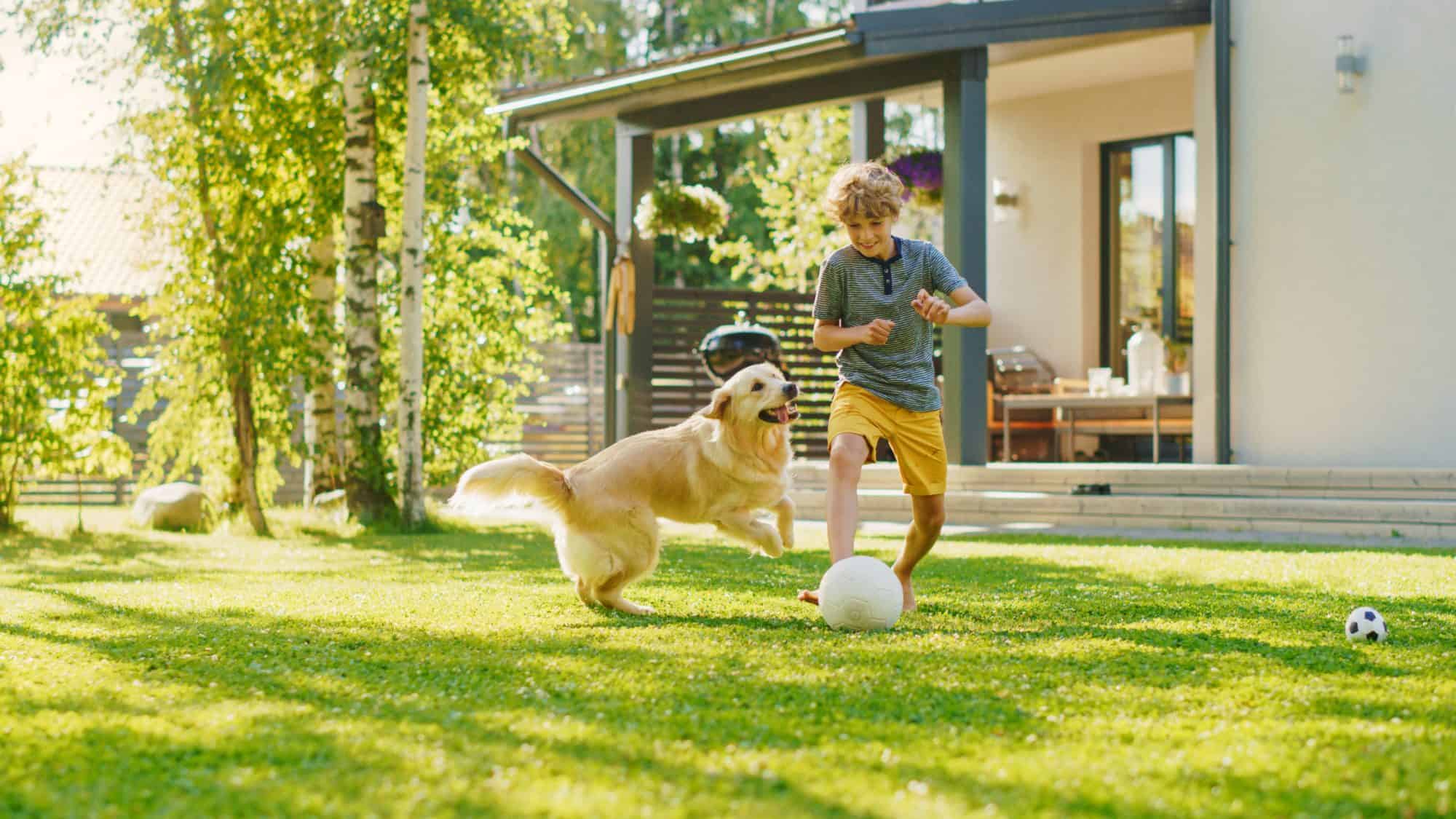 A dog and a boy play soccer outside.