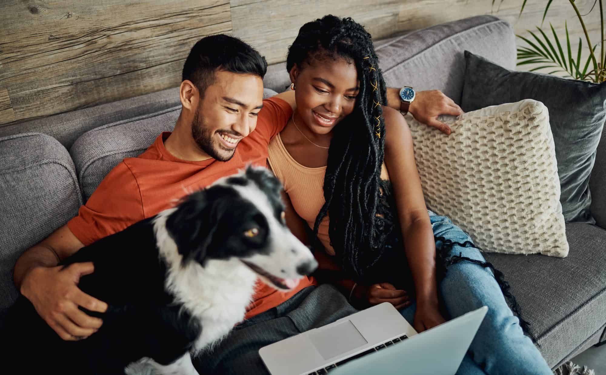 A couple and their dog using the computer.