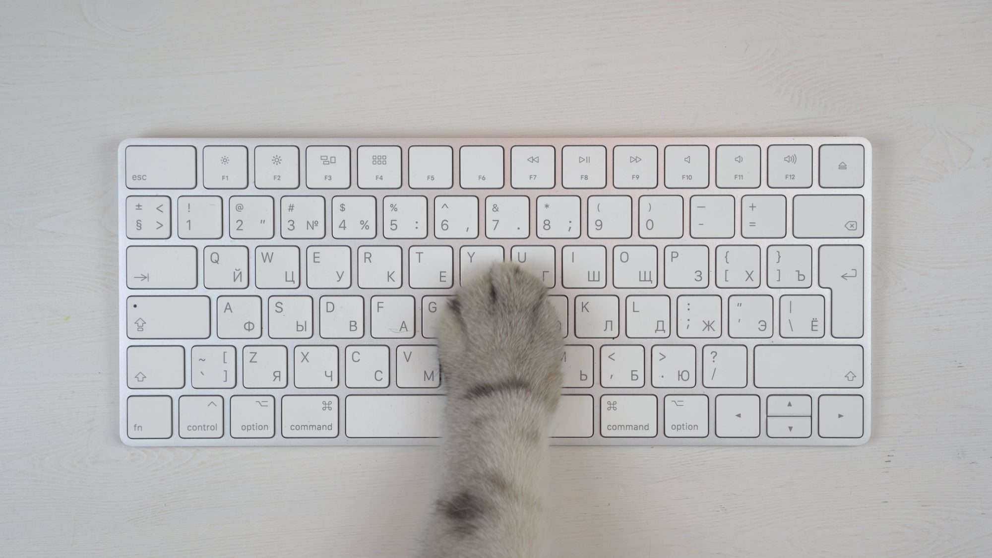 A cat paw on a white keyboard.