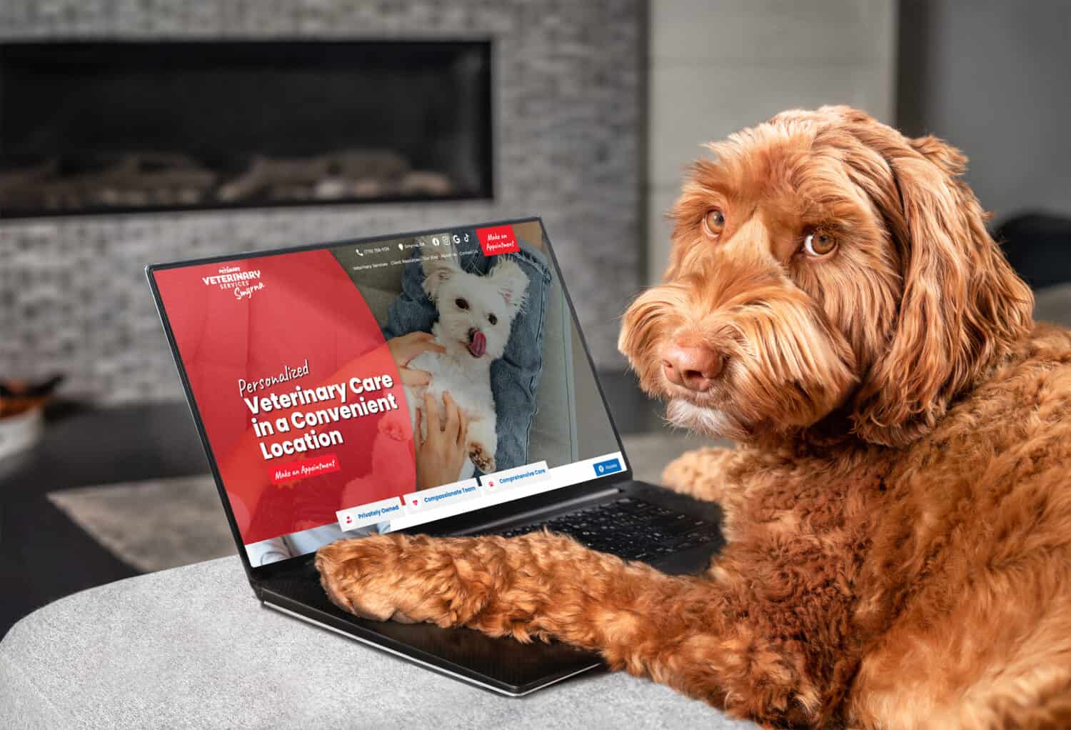 A dog looking at the new PetSmart Veterinary Services website on a computer.