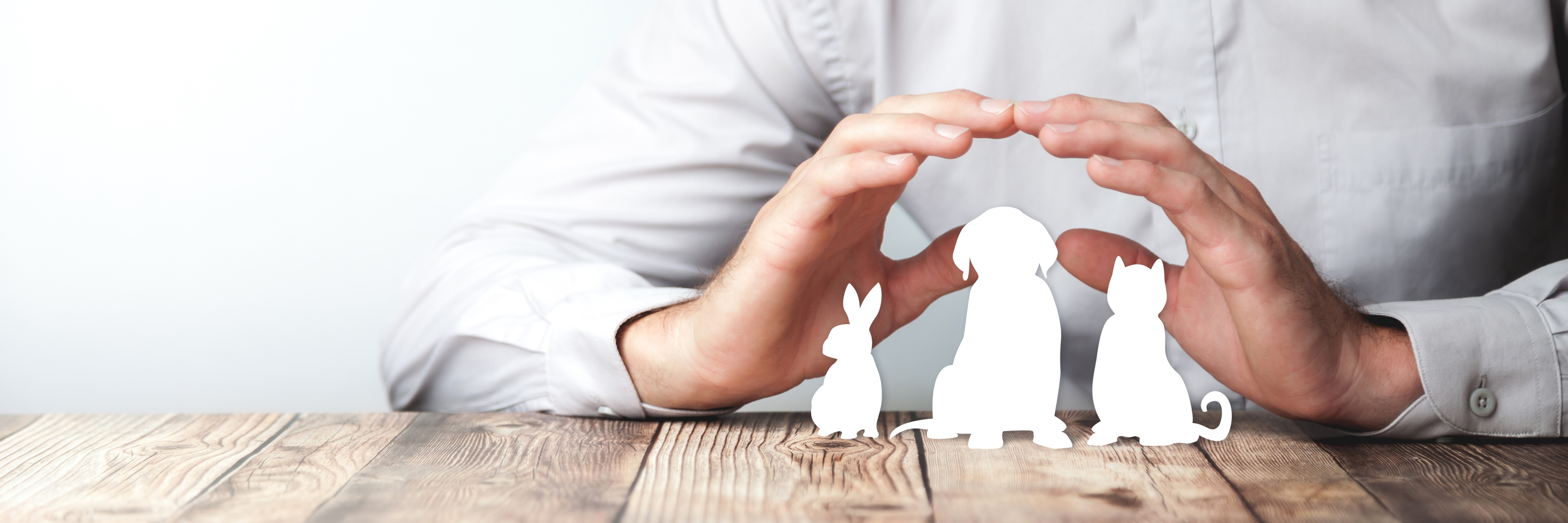 A man making heart hands over paper cut outs of a dog, a cat, and a bunny.