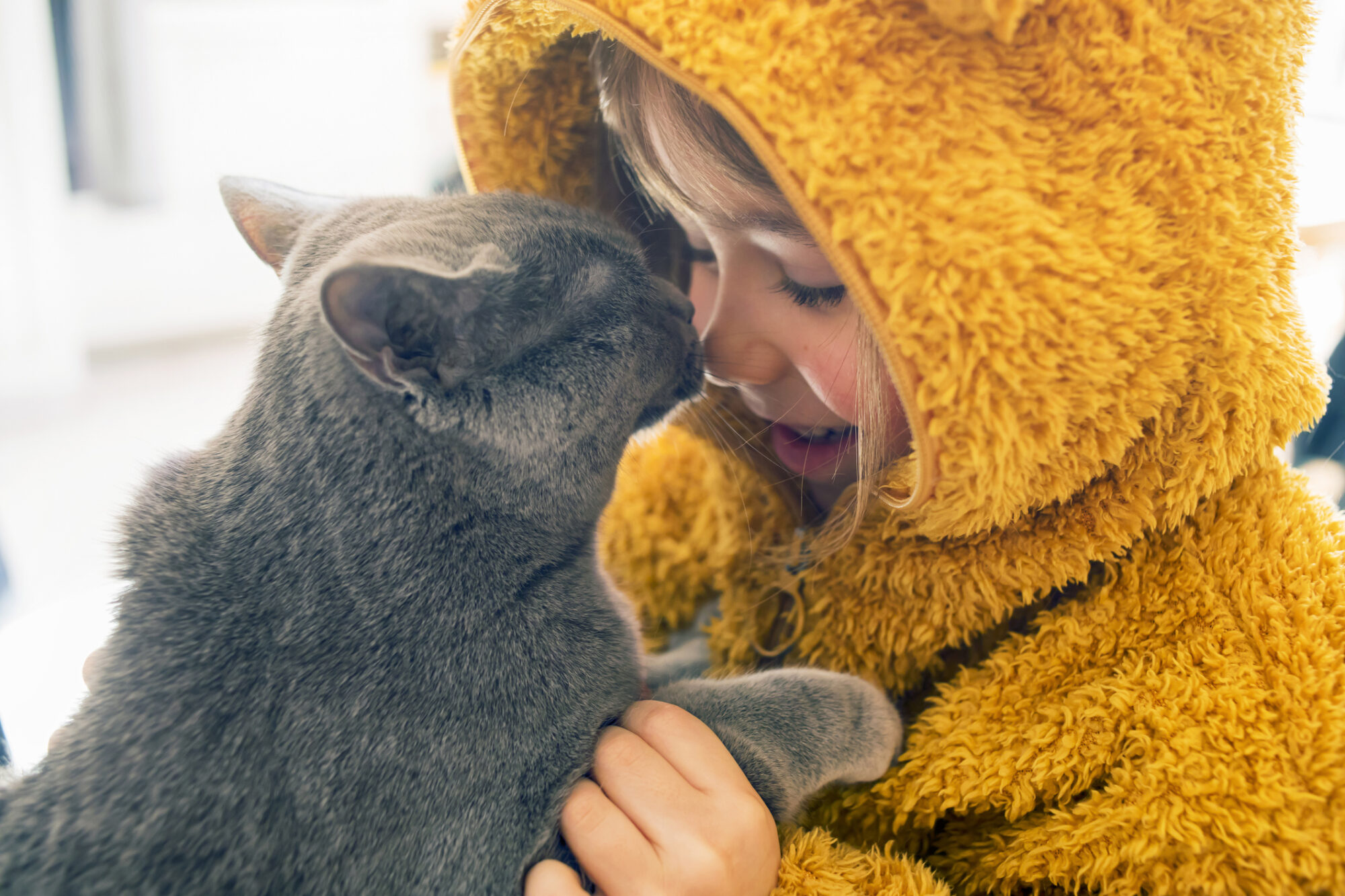 A child and a cat touching noses.