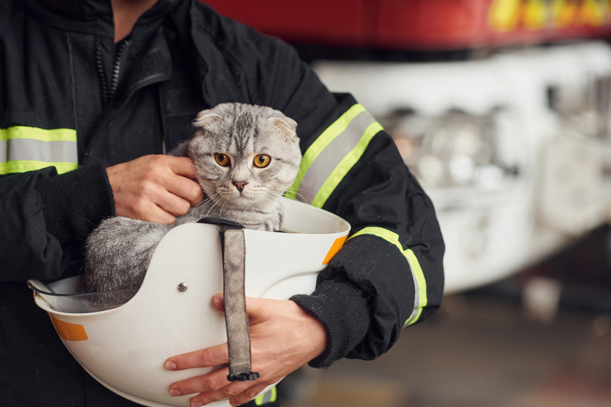 A firefighter carrying a cat in a helmet.
