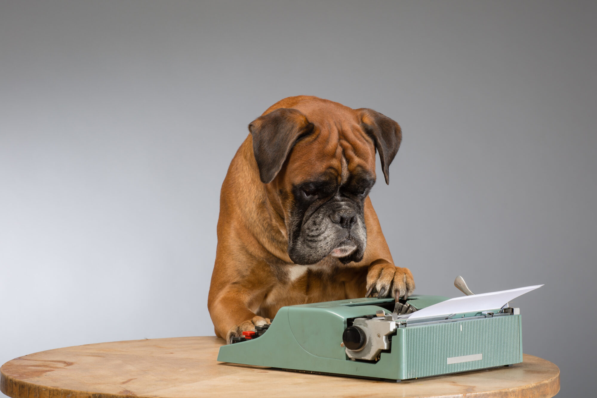 A dog using a green typewriter.