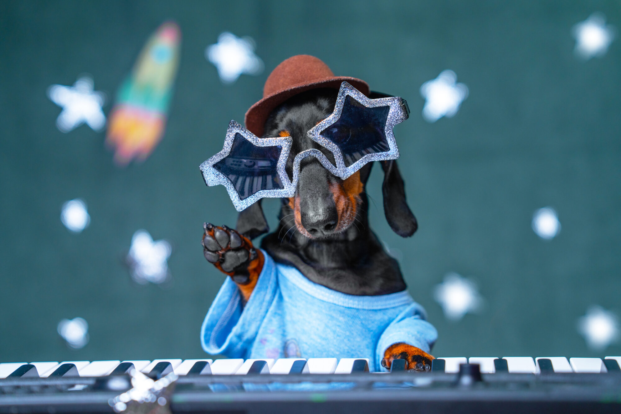 A Dachshund playing keyboard with star-shaped sunglasses.